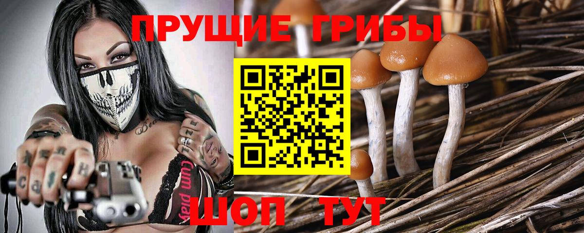 Елизово  Псилоцибиновые грибы мухоморы  Вход с VPN 